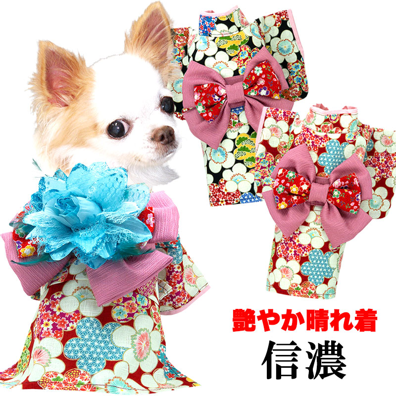 楽天市場 犬 服 犬の服 ドッグウェア 艶やか晴れ着 信濃 コサージュ別売 2109 ペットウェア 着物 正月 七五三 ダックス トイプードル チワワ タムベディ かわいい ポメラニアン 着せやすい 犬服専門店ｔambedyｄogｗear