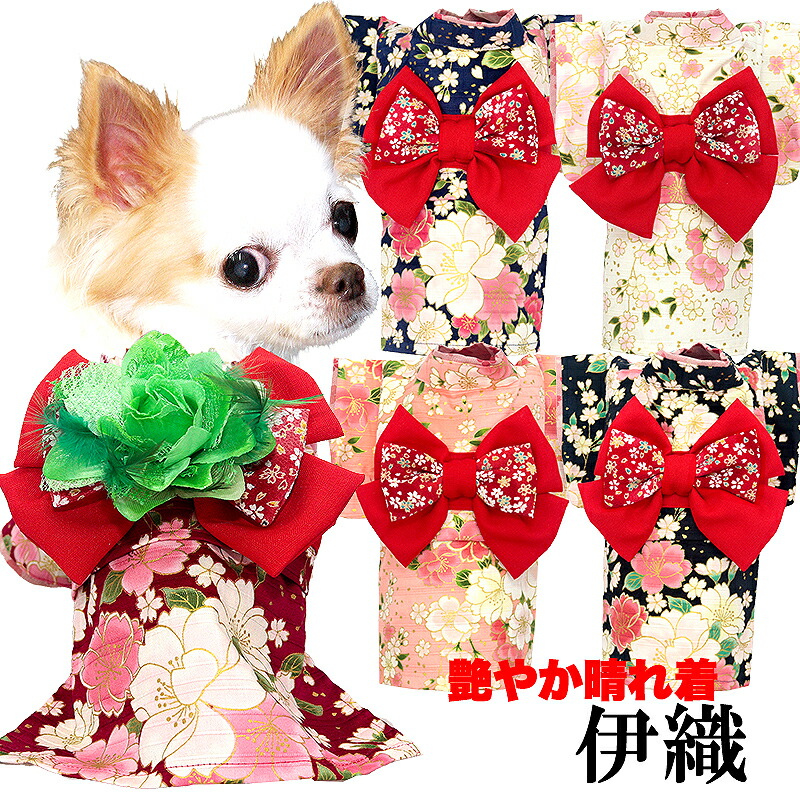 楽天市場】【期間限定P5倍】as know as 見返り振袖長ー白百合色ー 犬