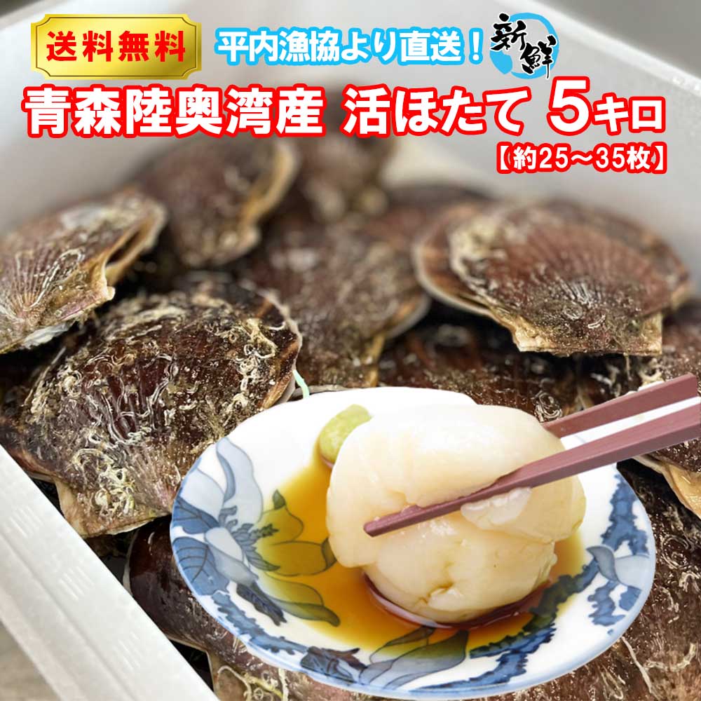 殻付きホタテ いきほたて 貝柱 刺身 BBQ 海鮮活ほたて 青森陸奥湾 平内産 5キロ 平内漁協の生けすから直送 送料無料 | 青森 お土産 ホタテ 殻付き 食べ物 ギフト 青森県産 お取り寄せグルメ 取り寄せ ホタテ貝 グルメ 食品 贈り物 青森土産 ご当地グルメ 贈答用 帆立 贈答品