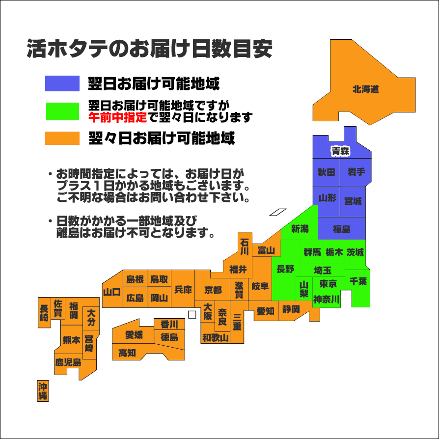 貨物輸送無料 活ほたて 青森陸奥入り江 脇野沢発明 3キロ 青森 お御持たせ ホタテ キューティクル附き お取り寄せエピキュリアン 食べ物 お取り寄せ 土産 貢物 グルメ 活ホタテ 戴物 東北 ほたて ホタテ貝 進ぜる目あて ご当地 貝 海鮮 帆立 ギフト ほたて貝 帆立貝