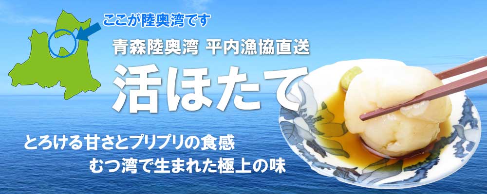 送料無料 活ほたて お取り寄せグルメ お土産 食べ物 平内産 青森陸奥湾 2キロ 殻付き ホタテ お取り寄せ 青森 平内漁協より直送