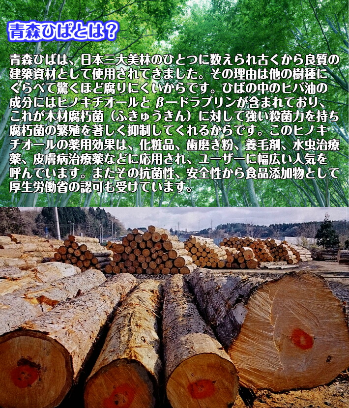 楽天市場 送料無料 青い森のひば油 青森天然ひば精油 100ml 青森 お土産 青森産 ヒバ油 ひば油 エッセンシャルオイル 精油 アロマオイル 青森県産 ヒバ 油 東北 ヒノキチオール アロマ ヒバオイル ひば オイル 防虫 青森ヒバ油 虫除け 香水 ヒノキ ためのぶストア楽天市場店