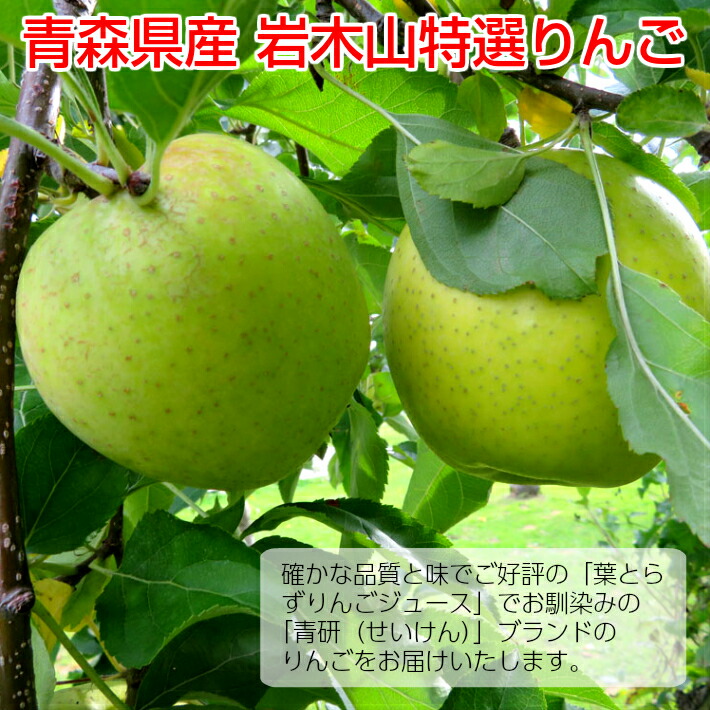 10kg 32玉前後 特選大玉 贈答用ランク 青森県産 産地直送 青研 青森 送料無料 岩木山特選りんご 青森産 青森 送料無料 お歳暮 王林 贈答用 りんご りんご お土産 お取り寄せ ギフト リンゴ 青森りんご 青リンゴ 果物 林檎 贈り物 御歳暮 内祝い 贈答 くだもの 青森県