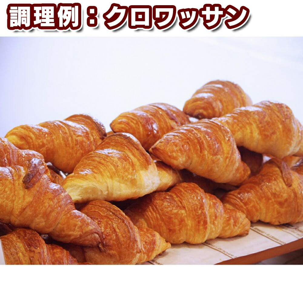 不二製油 ソイレブール 冷凍 500g×2個セット 豆乳 植物性 バター マーガリン 製菓材料 パン材料 品質検査済