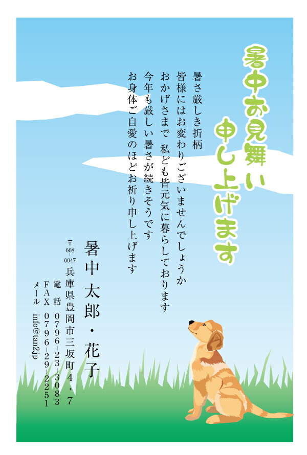残暑見舞いはがき ひまわり ハガキ 10枚入 残暑見舞い
