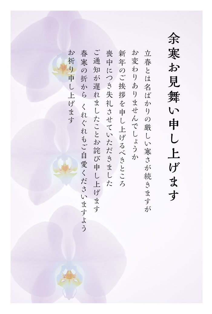 楽天市場】官製 10枚 喪中はがき（はと）縦書きタイプ（No.852