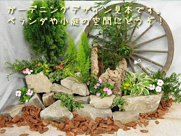 楽天市場】ガーデニング用石材 サンゴ石 20キロ（送料無料対象