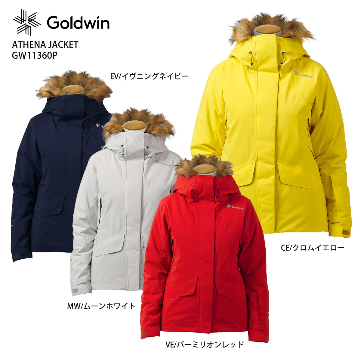 総合福袋 スキー ウェア レディース GOLDWIN 〔ゴールドウイン