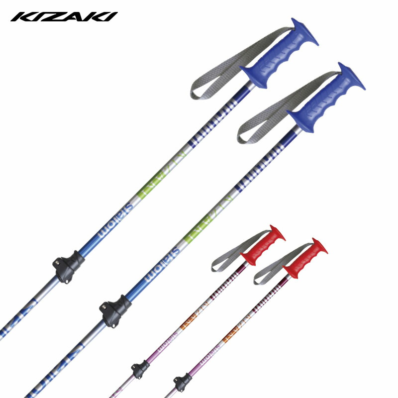 よっぴーさん専用 ノルディカ ジュニアスキー ＆ K2 伸縮ストック