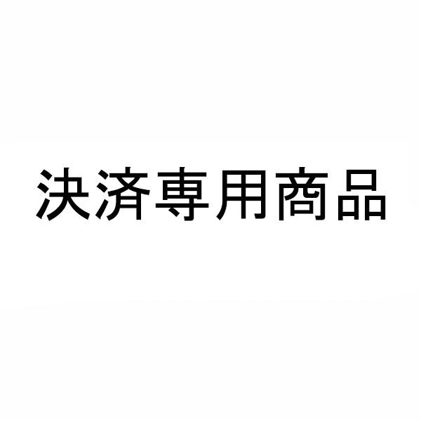 石山 様専用 決済用商いもの【坂根面倒を見る】
