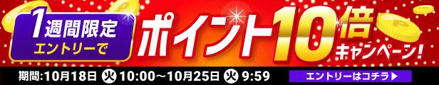 楽天市場】P10倍！18日10時〜25日9時59分までSWIX〔スウィックス 2台用 スキーケース〕＜2021＞SW02 〔 ホイール付きダブルスキーケース〕 送料無料 20-21 旧モデル : スキー専門店 タナベスポーツ