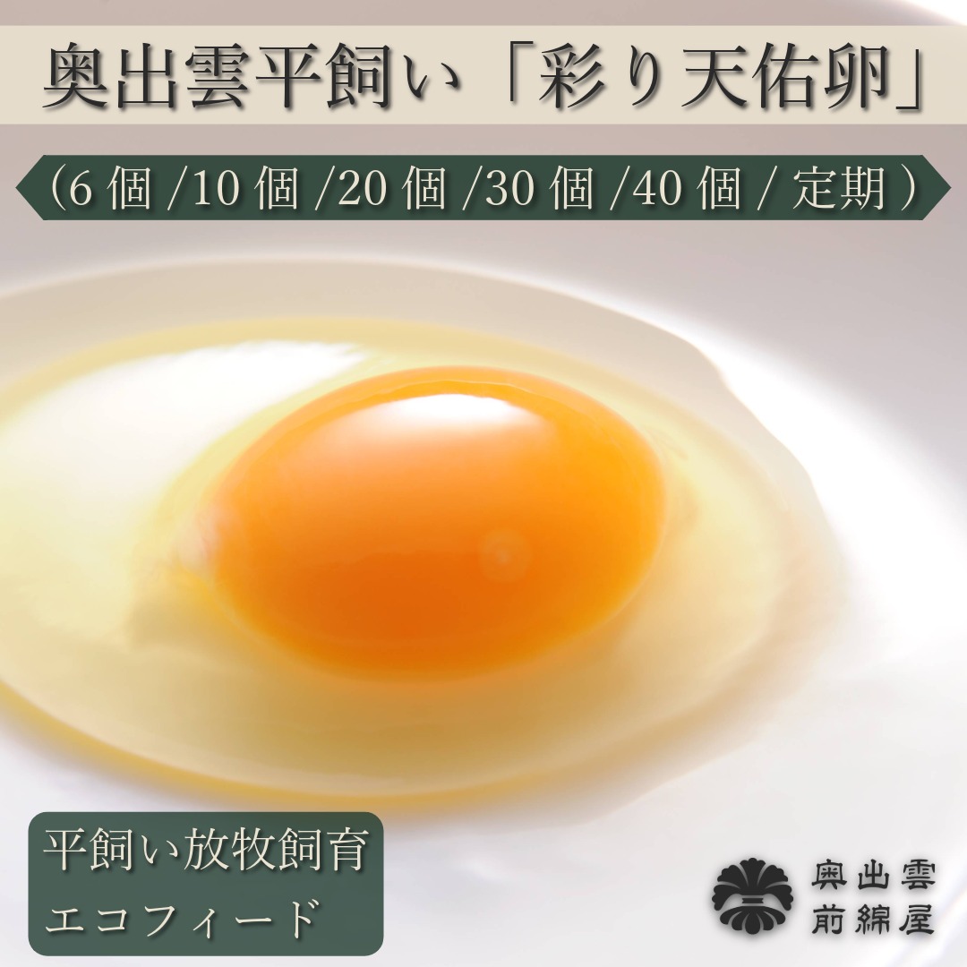 たなべ森の鶏舎 彩り天佑卵 たまご 卵 平飼い 放牧 奥出雲産 6個 10個 20個 30個 40個 平飼い卵 生卵 鶏卵 タマゴ おいしい卵 お取り寄せ こだわり卵 高級卵 贈答 ギフト プレゼント 母の日食べ物ギフト 美味しい 母の日ギフト食べ物 生食 卵かけご飯 tkg 卵セット 定期購入