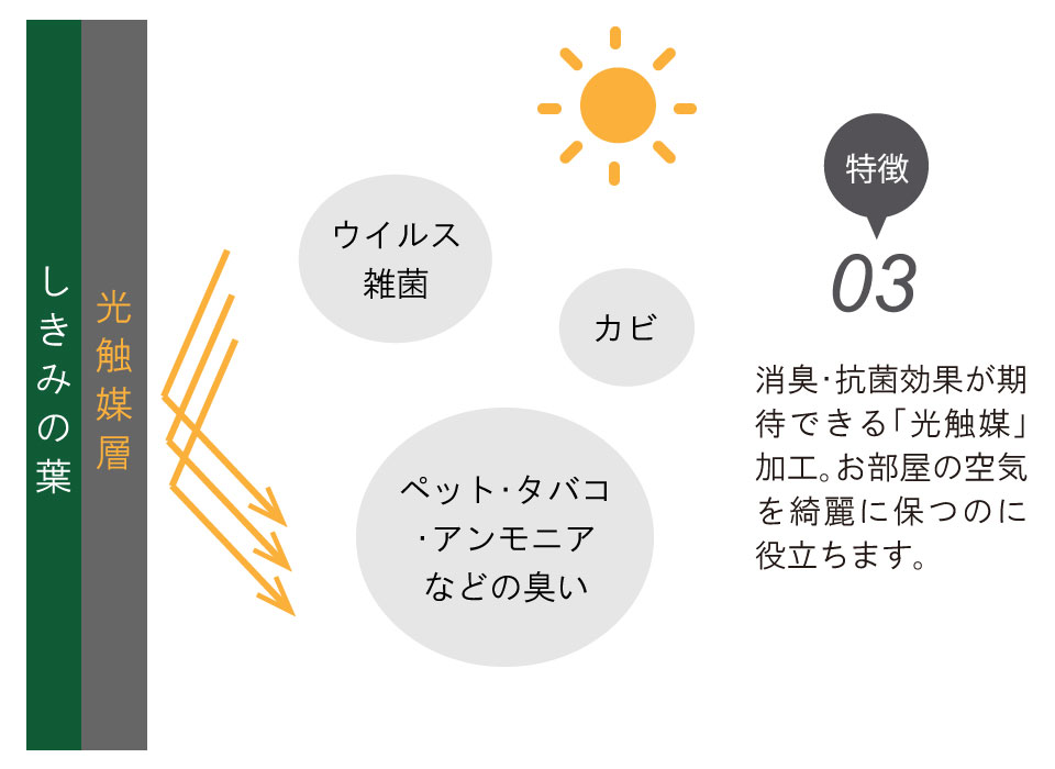 楽天市場 楽天ランキング1位入賞 送料無料 造花しきみ Sサイズ 全長40cm 2本セット 専用箱入り 創価学会 光触媒 まるで本物 シキミ しきび 樒 仏花 お彼岸 初盆 お供え 法要 法事 仏壇用 仏具 創価学会専門 田中仏壇店