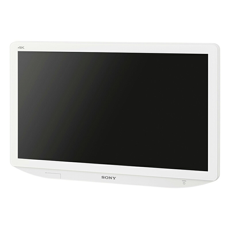 BRAVIA