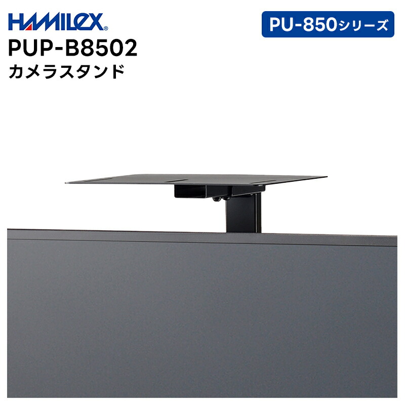 BRAVIA