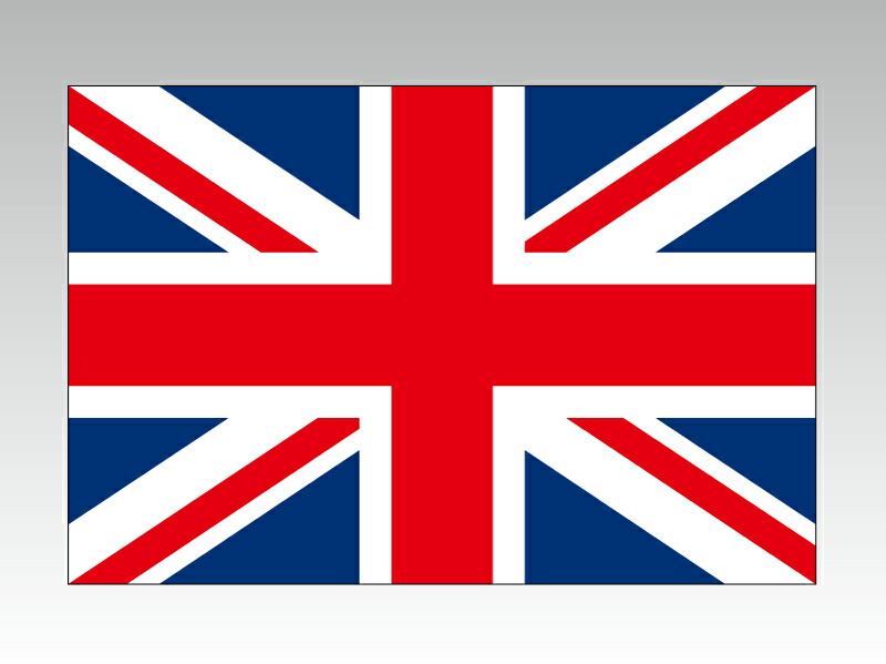 美品✨Alexander McQUEEN GOD save イギリス 国旗 美品✨Alexander McQUEEN GOD save イギリス 国旗