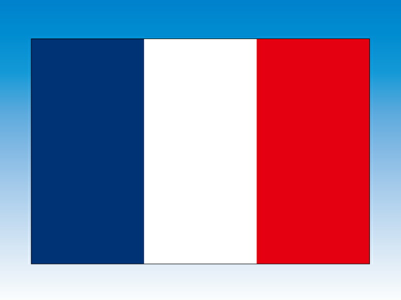 フランス　国旗　120×180cm　エクスラン生地（アクリル100％）　外国旗　応援　会議