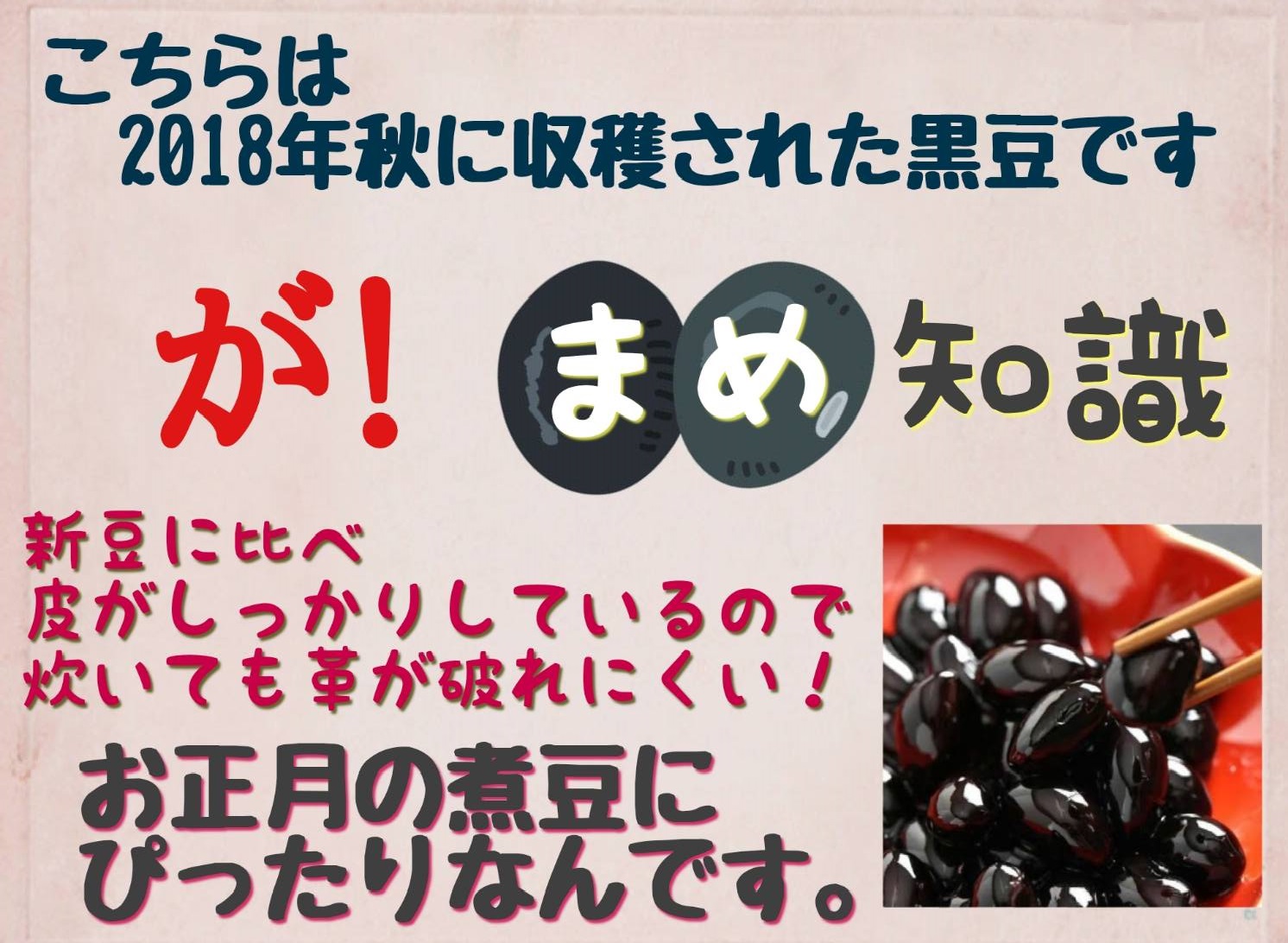 楽天市場 丹波黒大豆 生 煮豆用 お正月 2l 一番大きいサイズ 傷なし 250ｇ 黒豆煮汁 黒豆酢 丹波黒総本舗 株式会社 中村屋