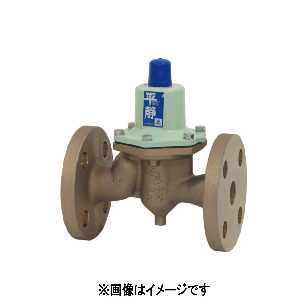 ﾍﾞﾝ 減圧弁 10KF 水法 CAC+CAC 1.0Mpa : RD31 FN-F [L(0.05~0.35)/H(0.3~0.7)] 40A&there4;｜たね葉