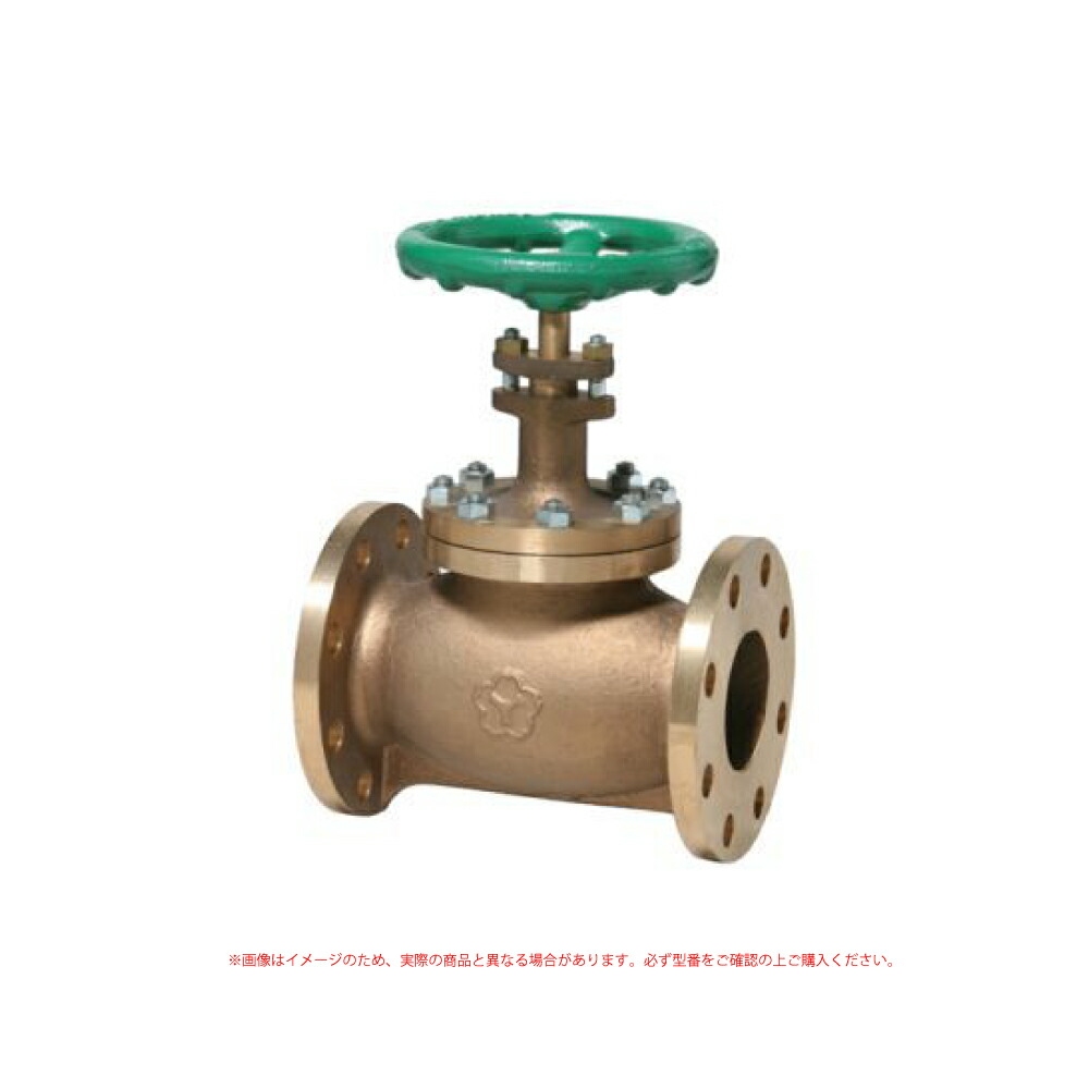 大和      汎用10K型 F付  ｸﾞﾛｰﾌﾞﾊﾞﾙﾌﾞ : B10FS  32                       (BH)∴ｸﾞﾛｰﾌﾞ弁 玉形弁