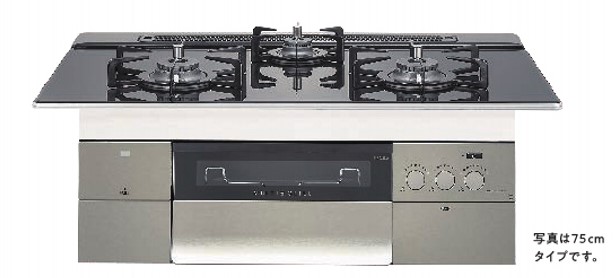 &perp;･ﾉｰﾘﾂ N3S15PWASSTEC- (都市ｶﾞｽ) (051V707) 04R新 : ﾋﾞﾙﾄｲﾝｺﾝﾛ 750幅 ﾏﾙﾁ ﾌﾟﾛｸﾞﾚ ｶﾞﾗｽﾄｯﾌﾟ &there4;｜たね葉