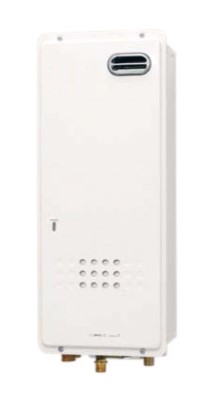 ﾊﾟﾛﾏ DW-6000 LPG (92010-024) : ｶﾞｽ暖房専 --- 1温 &there4;Paloma｜たね葉