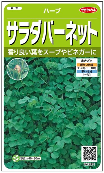 楽天市場 ハーブ 種 サラダバーネット サカタのタネ 小袋 採苗本数40本 種兵ネットショッピング