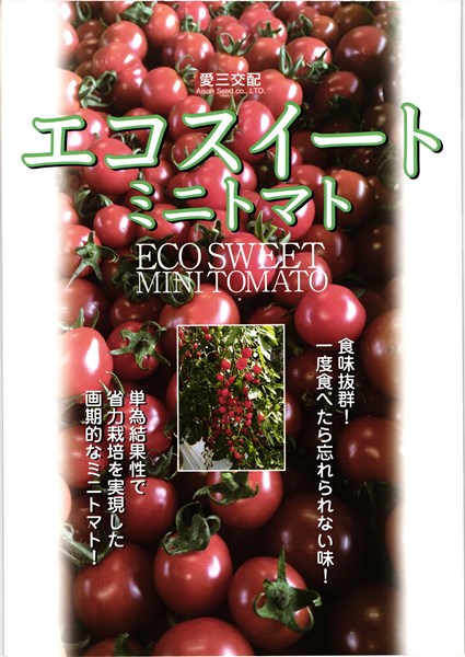 楽天市場 ミニトマト 種 エコスイート 小袋 12粒 愛三種苗 種兵ネットショッピング