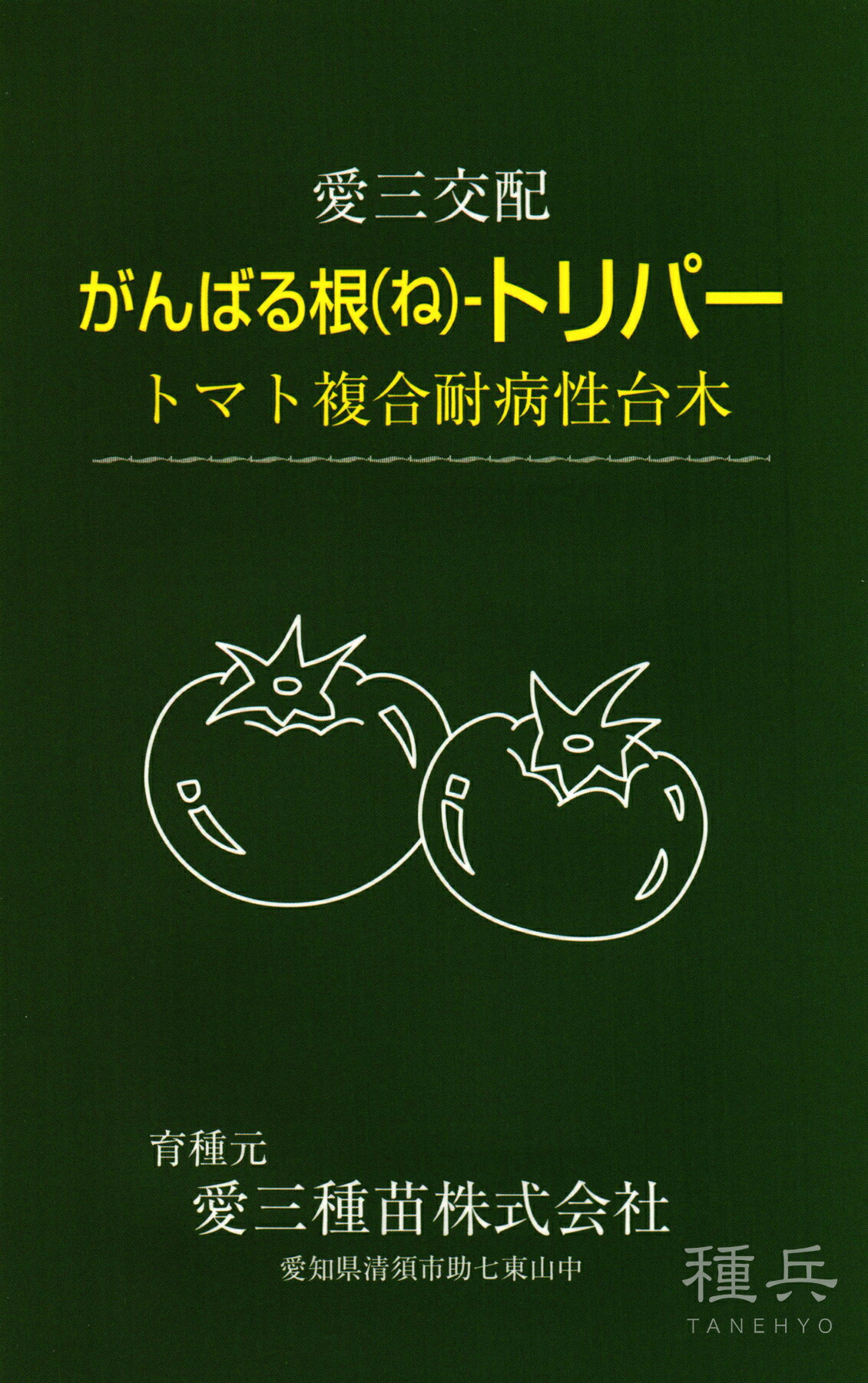 赤茄子台木 種 『がんばる根トリ基準打数』  愛三種苗