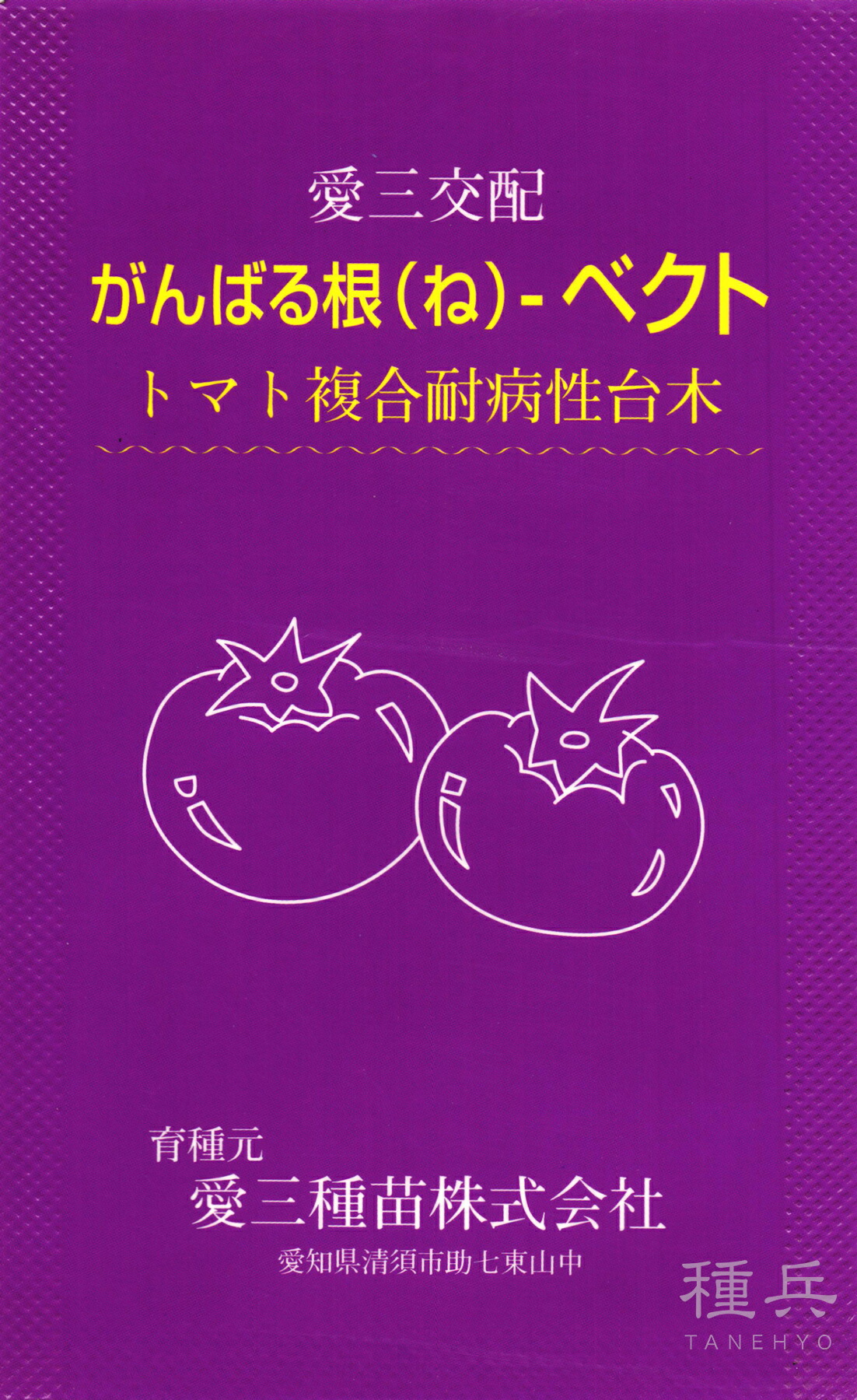 赤茄子台木 種 『がんばる根ベクト』  愛三種苗