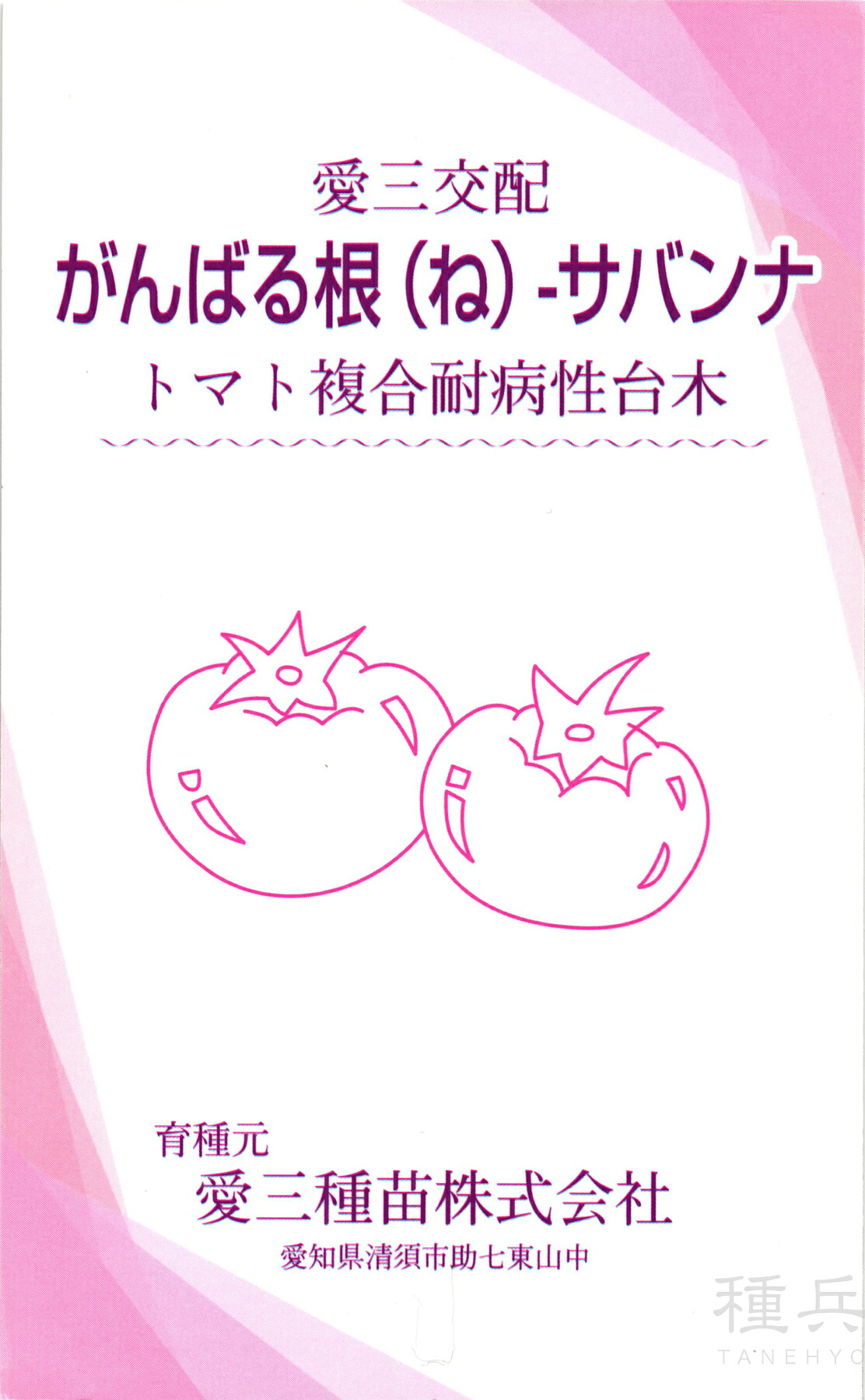 赤ナス台木 種 『がんばる根－サバナ』  愛三種苗