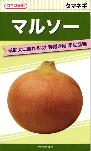 楽天市場】極早生タマネギ 種 『貴錦』 カネコ種苗/コート5000粒 : 種