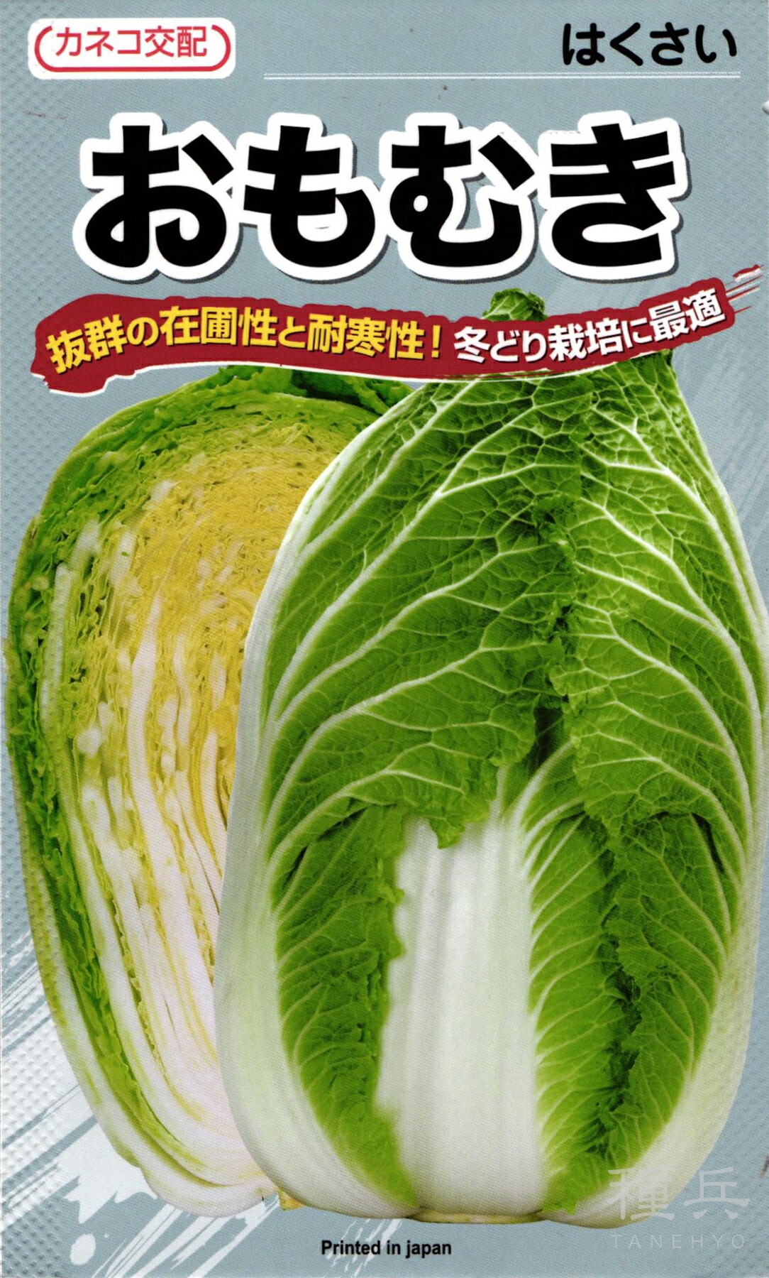 秋まきハクサイ 種 『おもむき』 カネコ種苗