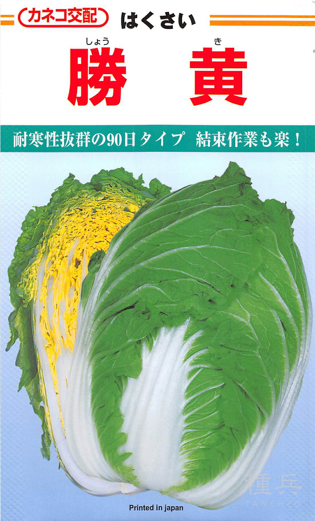 秋まきハクサイ 種 『勝黄』 カネコ種苗