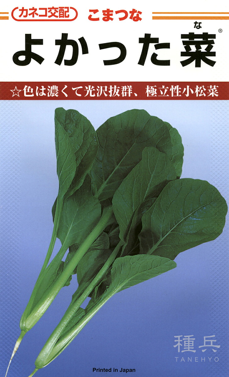 コマツナ 種 『よかった菜』 カネコ種苗