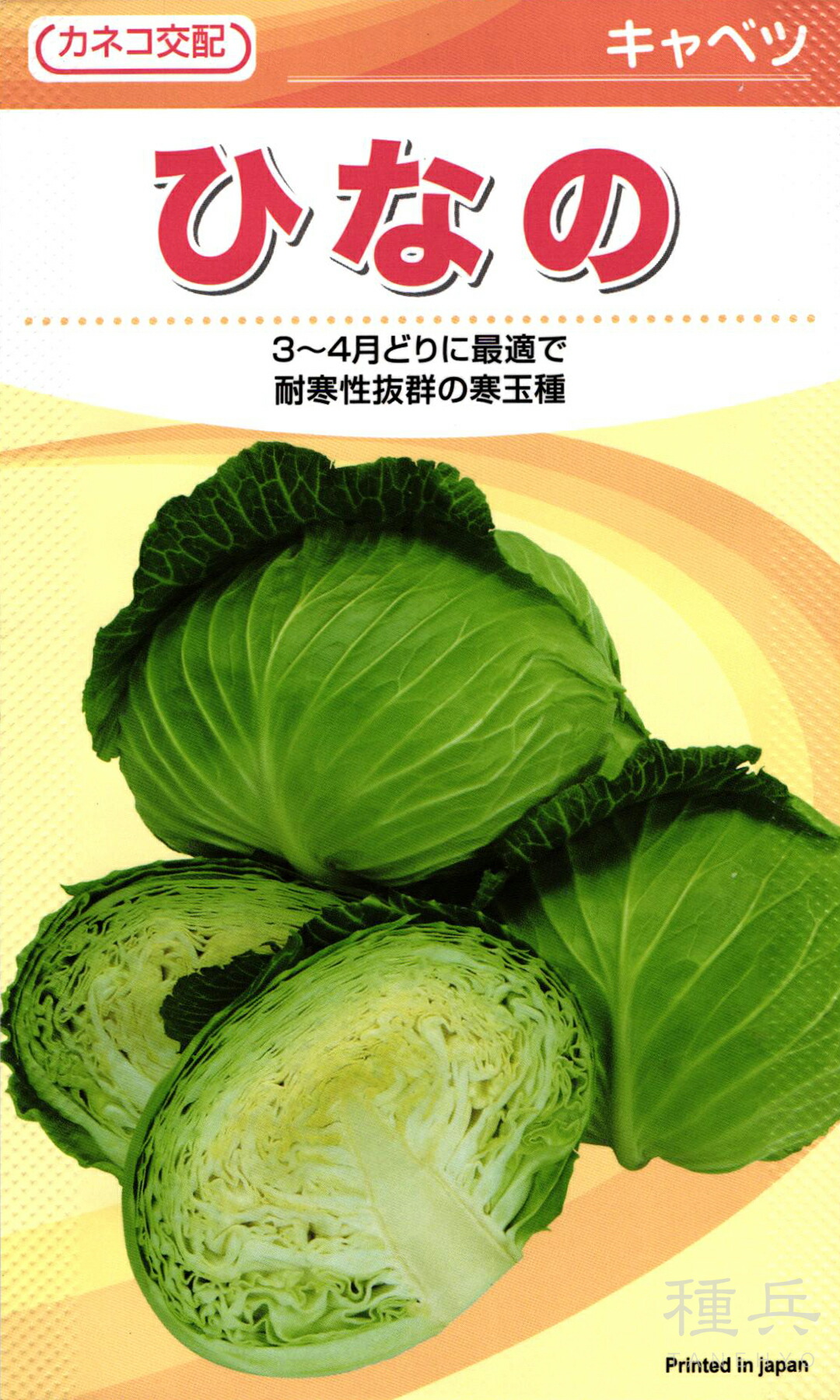 晩生玉菜 種 『ひなの』  カネコ種苗
