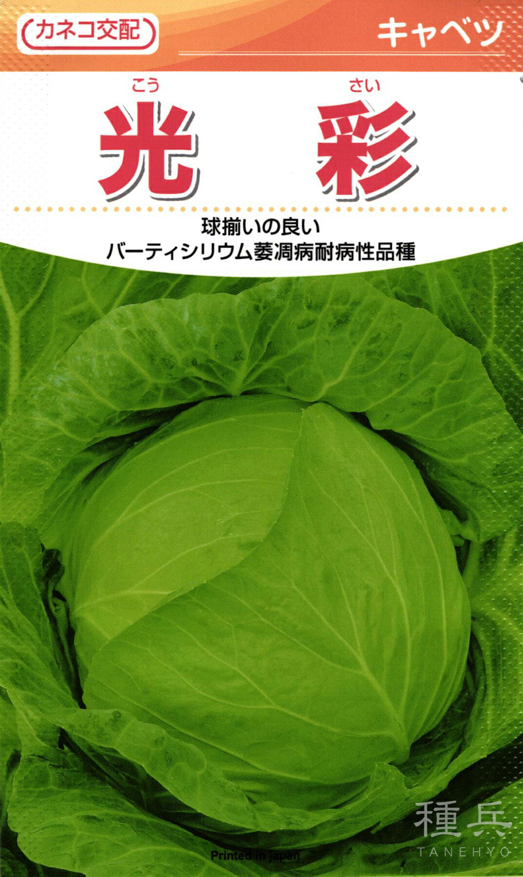 中早生玉菜 種 『色取り』  カネコ種苗