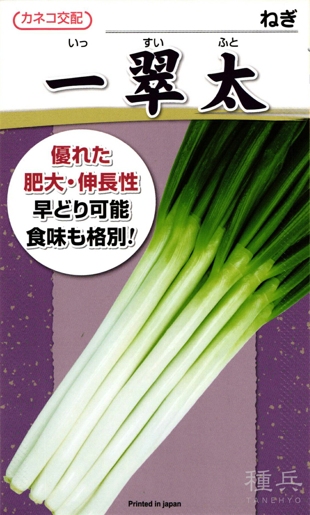 根深ネギ 種 『一翠太』 カネコ種苗