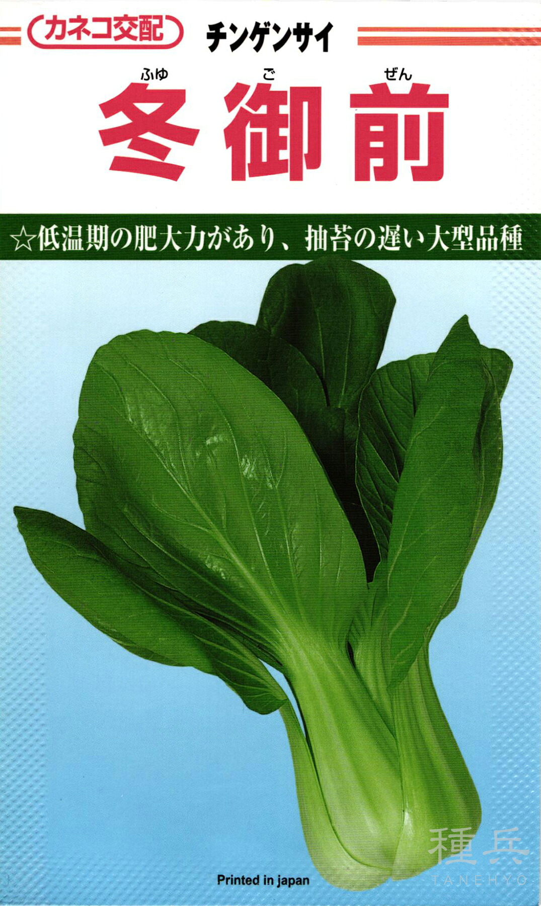 チンゲンサイ 種 『冬目の前』  カネコ種苗 野菜の種子-種子-花・ガーデン・DIY