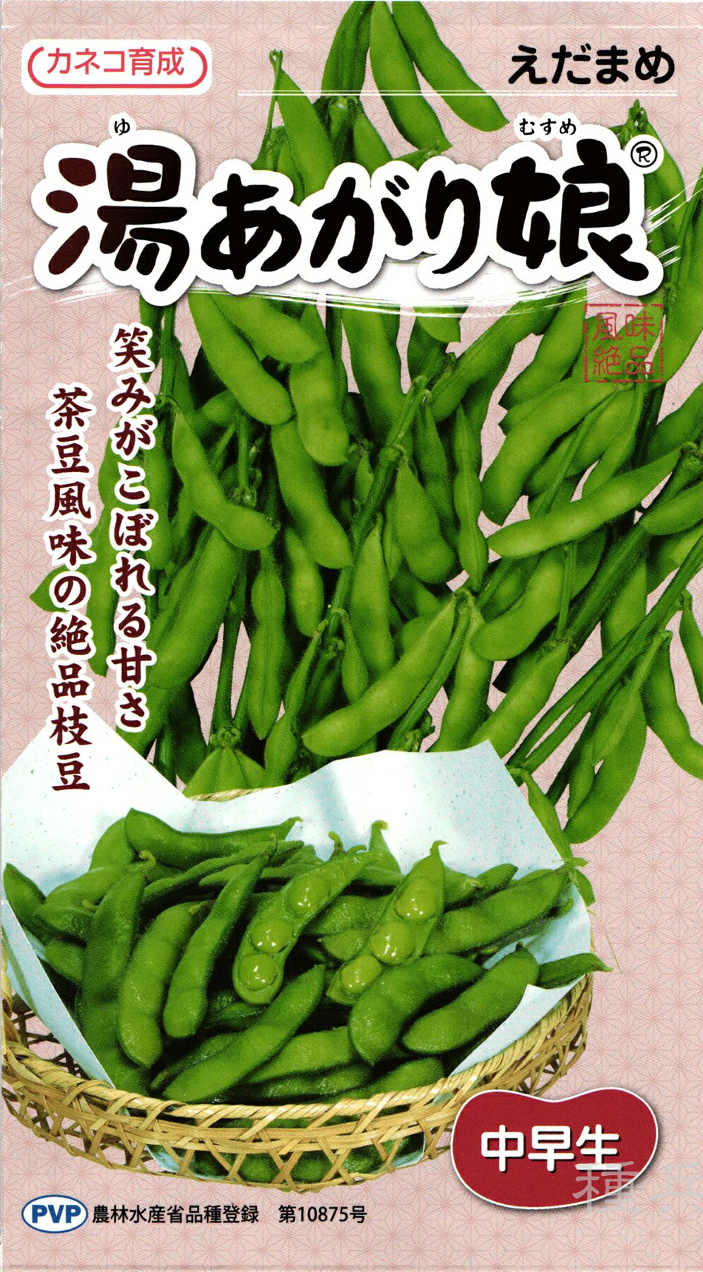 楽天市場】【カネコ種苗】湯あがり娘枝豆 2000粒 : 船木種苗店