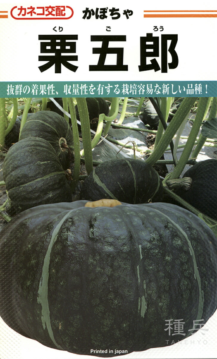 黒皮西洋カボチャ 種 『栗五郎』  カネコ種苗 野菜の種子-ガーデニング・農業