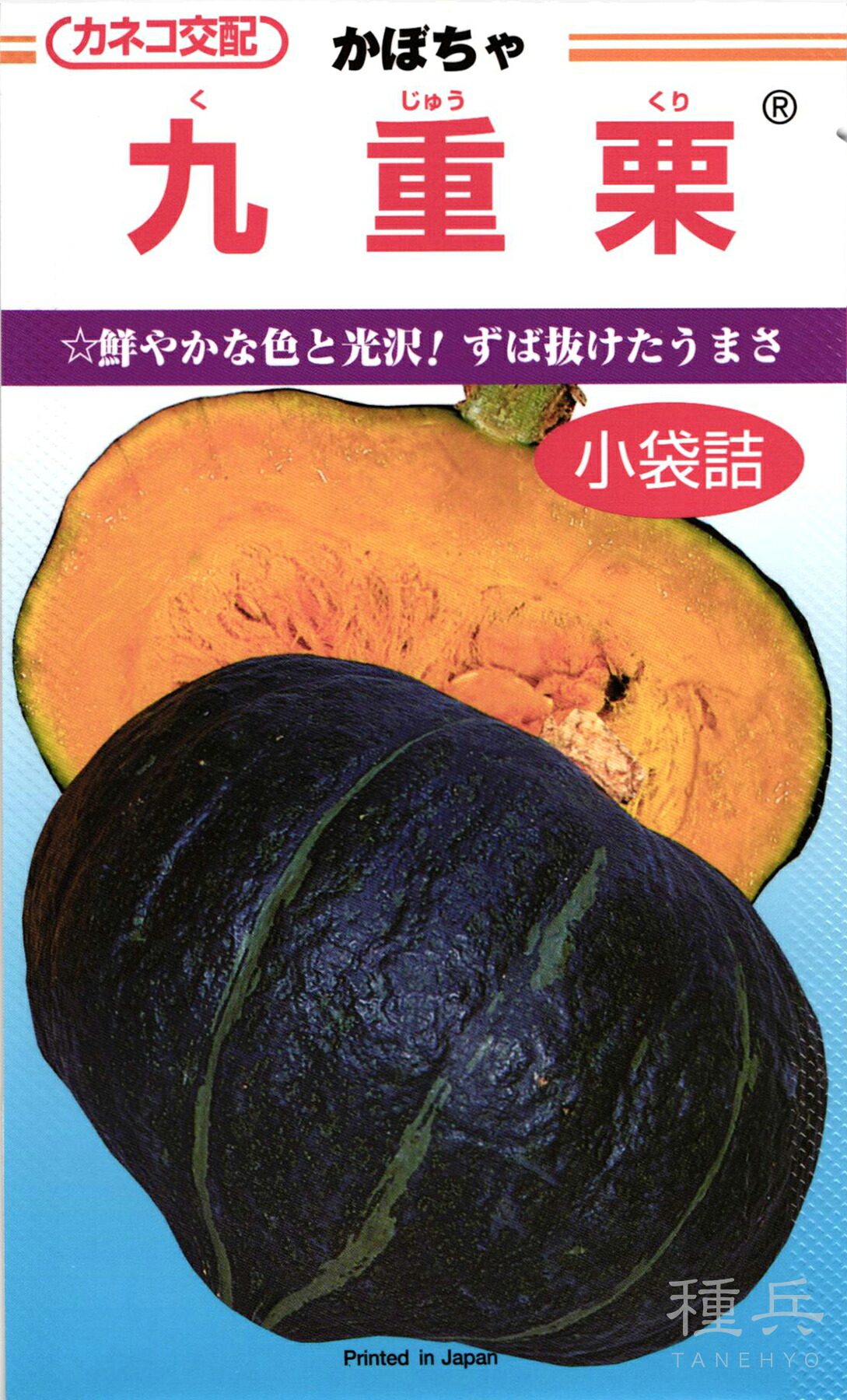 黒皮カボチャ 種 『九重栗』 カネコ種苗 13,013円