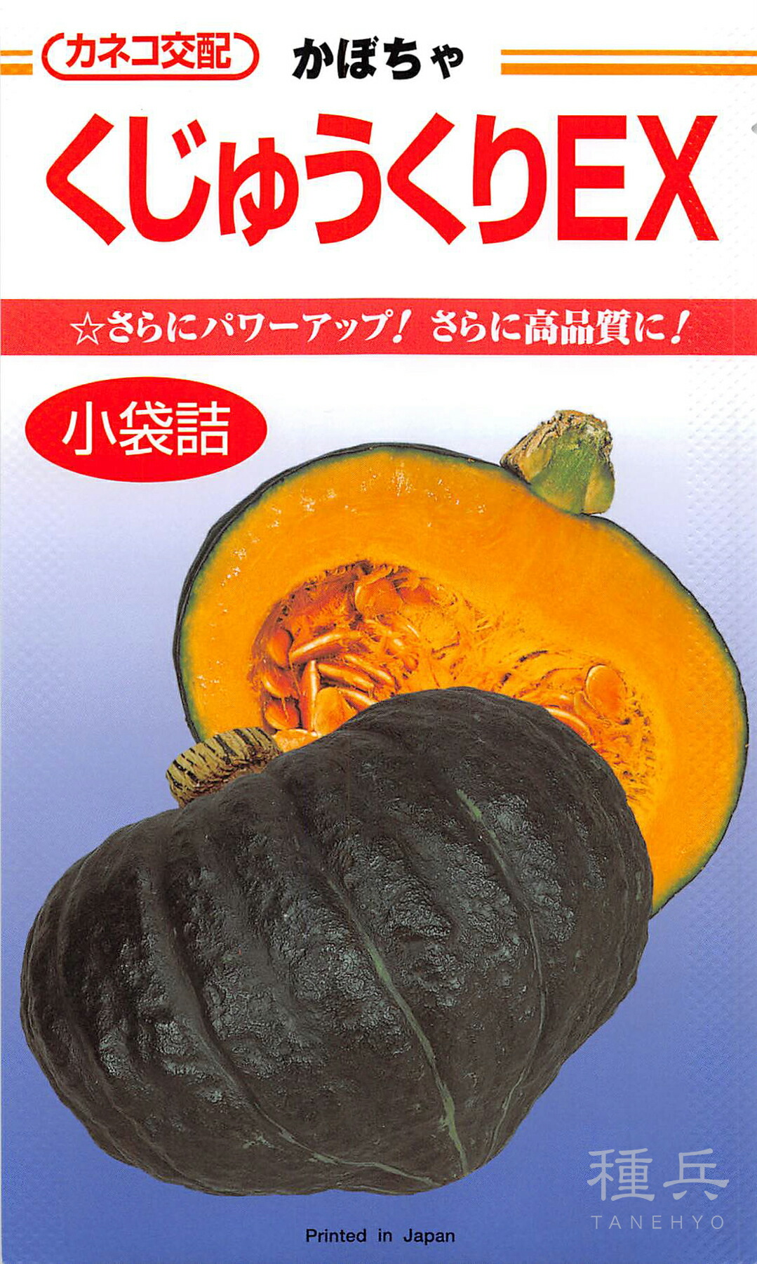 黒皮カボチャ 種 『くじゅうくりＥＸ』 カネコ種苗