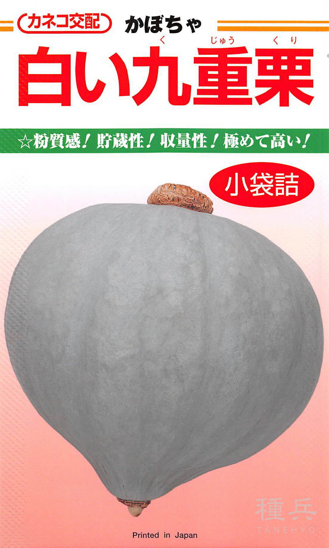 白皮西洋カボチャ 種 『真っ白い九重栗』  カネコ種苗 種子-野菜の種子
