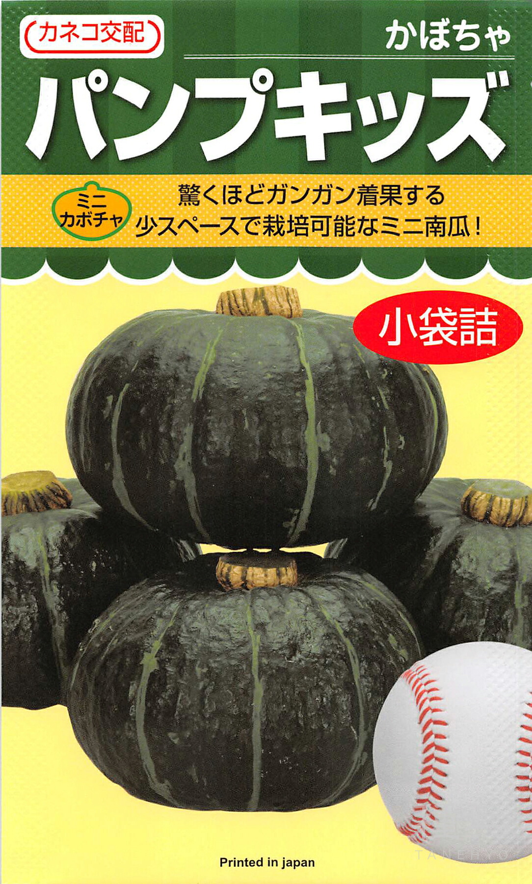ミニカボチャ 種 『パンプキッズ』 カネコ種苗