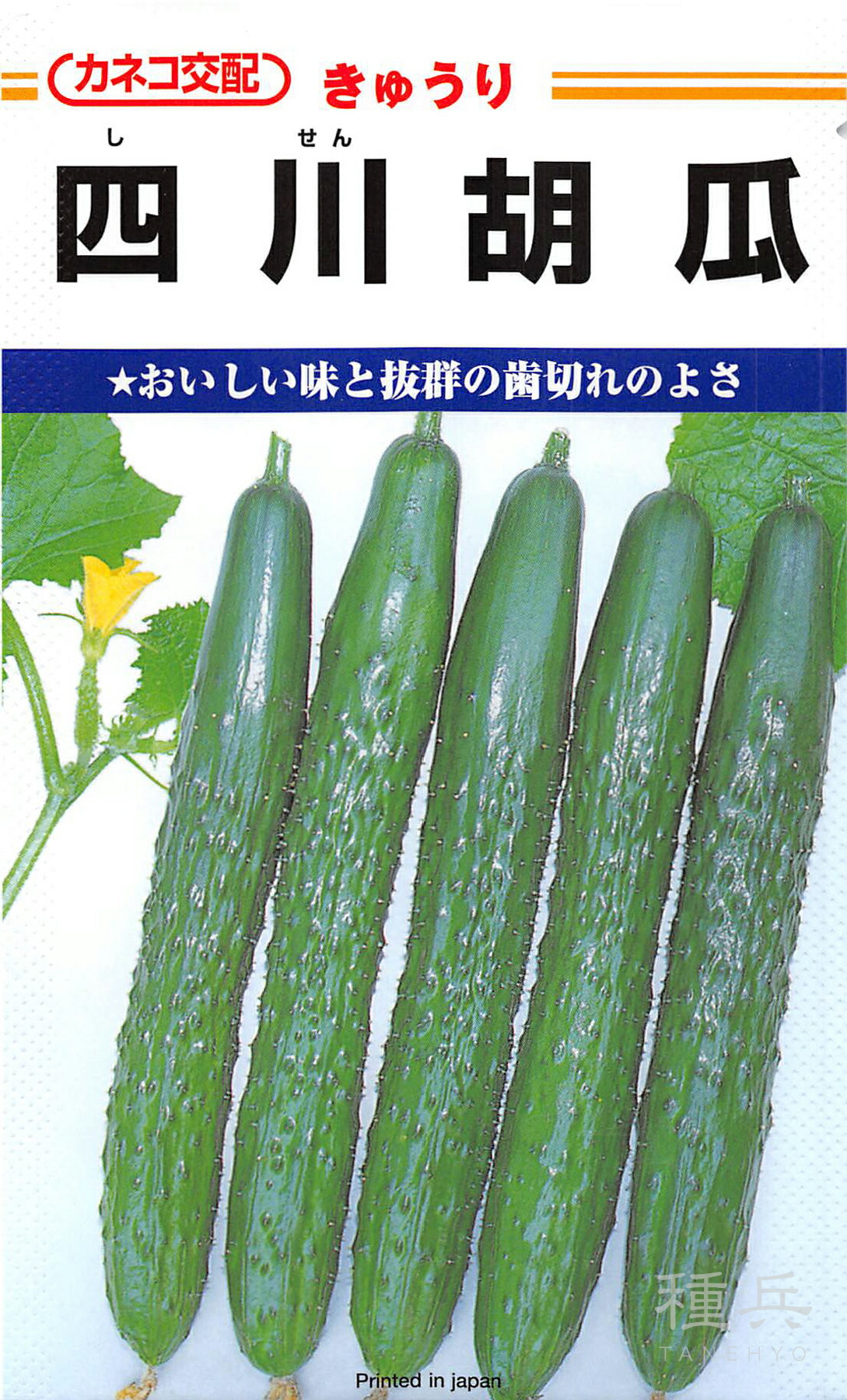 四葉胡瓜 種 『四川』  カネコ種苗
