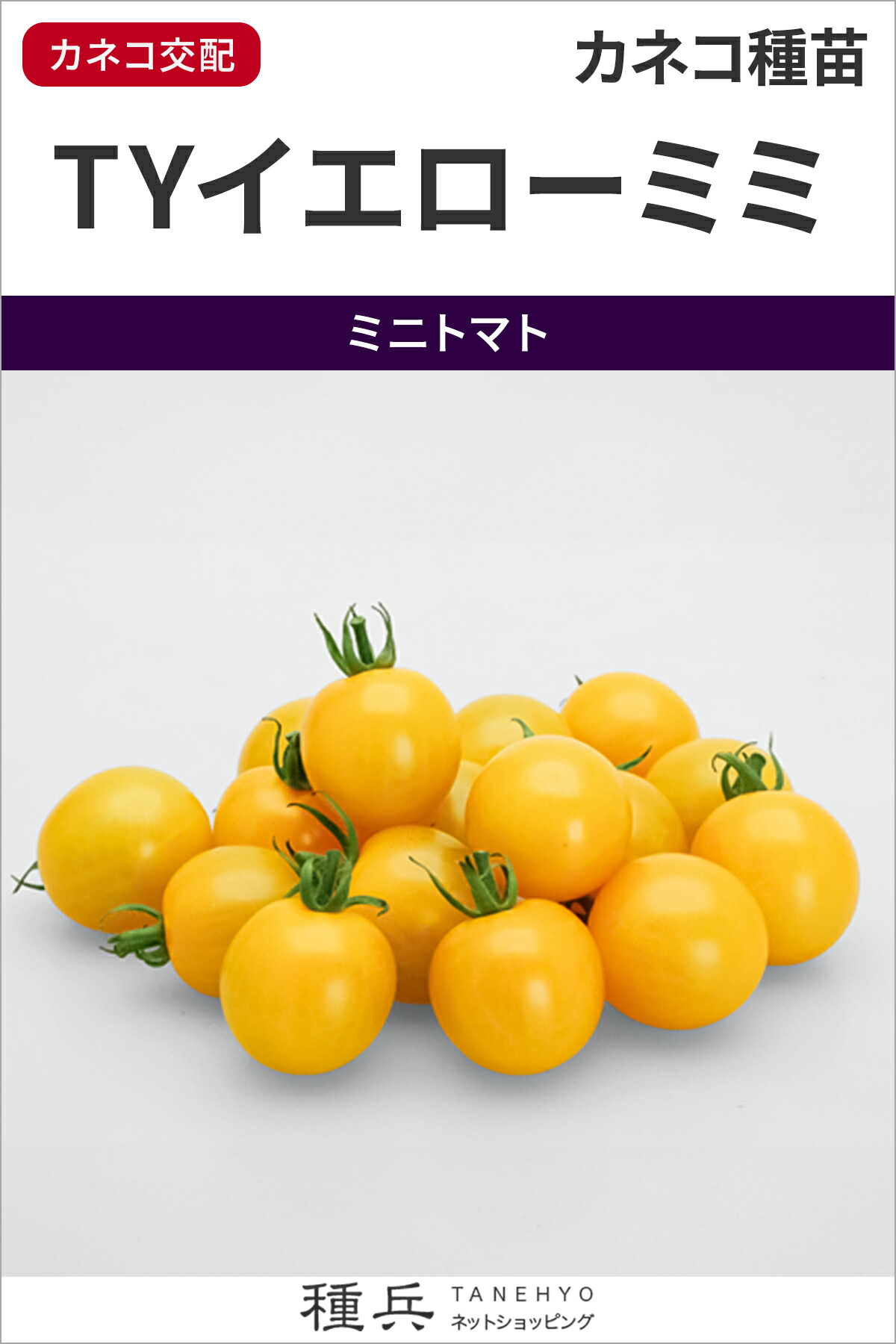 ミニ赤ナス 種 『TY黄色ミミ』  カネコ種苗