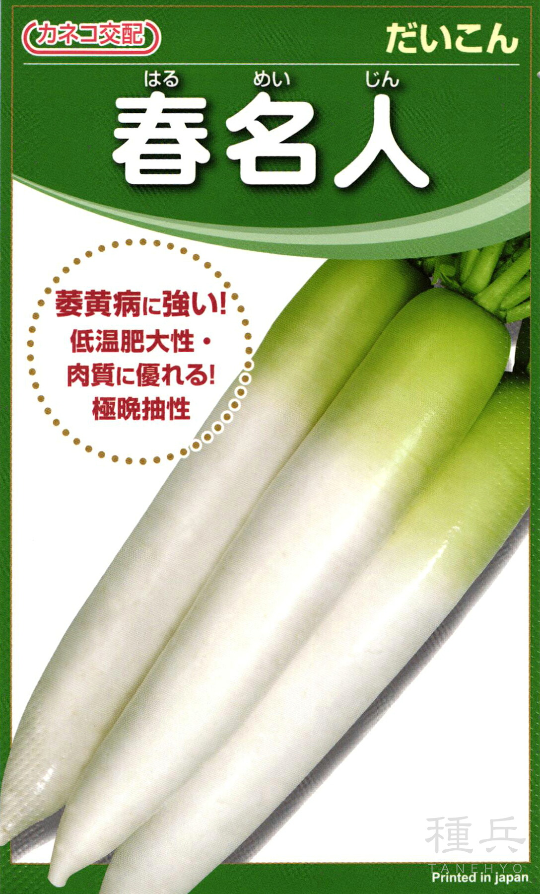 春まきダイコン 種 『春名人』 カネコ種苗