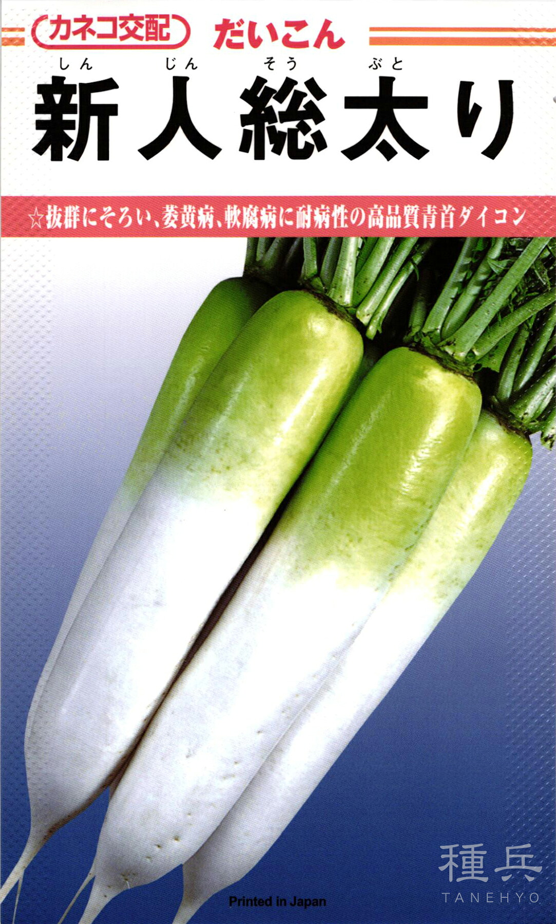 夏まきダイコン 種 『新人総太り』 カネコ種苗