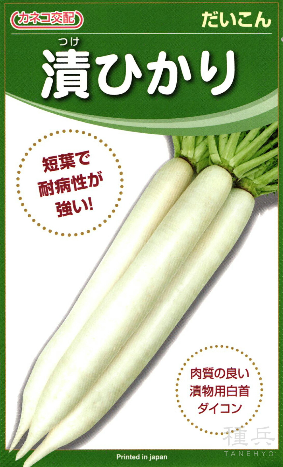 漬物用ダイコン 種 『漬ひかり』 カネコ種苗